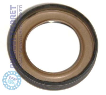COR 20026413B BASLRDX7 32X47X10 TFE